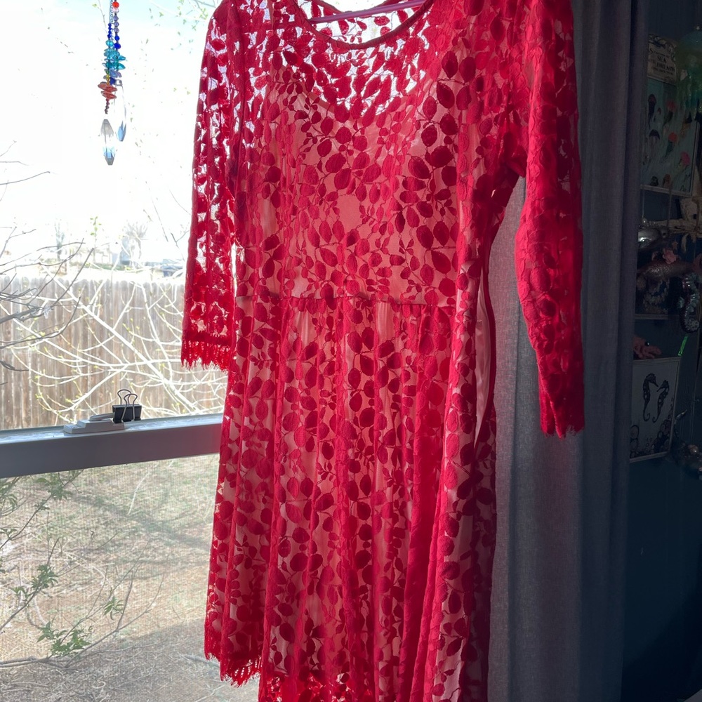 Free People | Floral Mesh Lace Dress